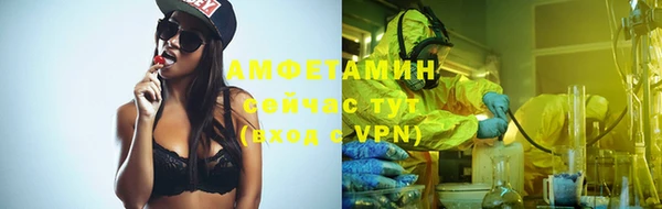 дмт Нея