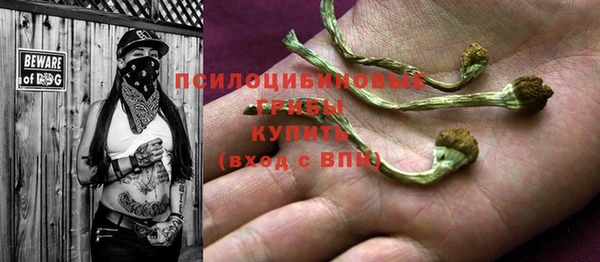 амф Нефтекумск
